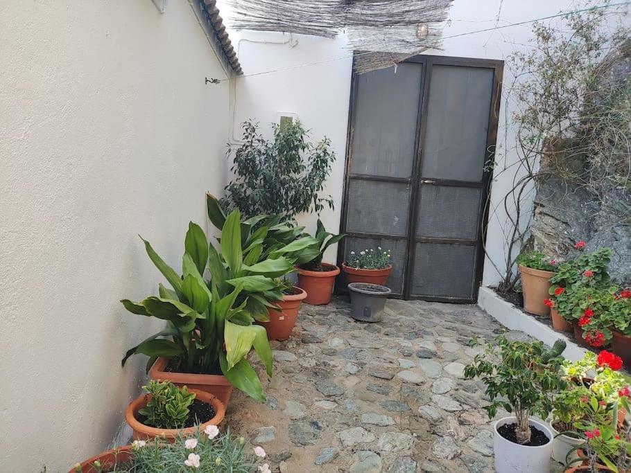 Casa En El Valle De Guainosaltos อาดรา ภายนอก รูปภาพ