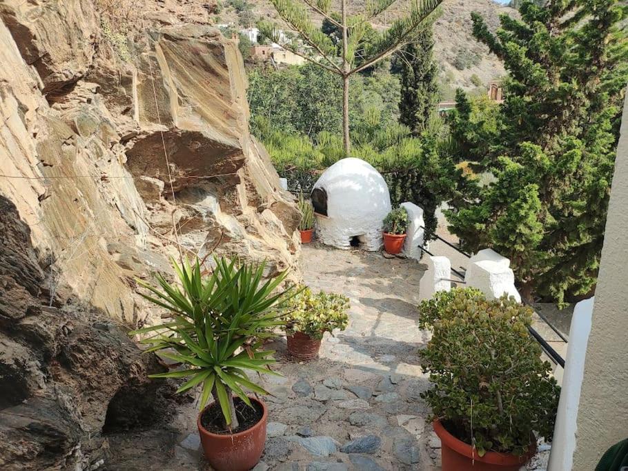 Casa En El Valle De Guainosaltos อาดรา ภายนอก รูปภาพ